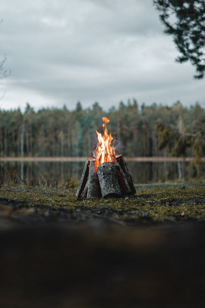 A tranquil campfire in a forest setting beside a calm lake under cloudy skies.